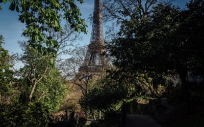 La nueva estrategia de París vs. olas de calor: Plantar árboles más resistentes