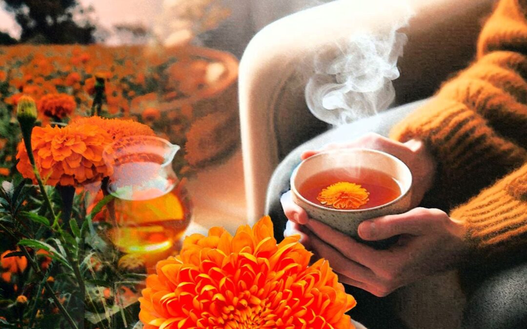 ¿Qué beneficios tiene el té de cempasúchil?