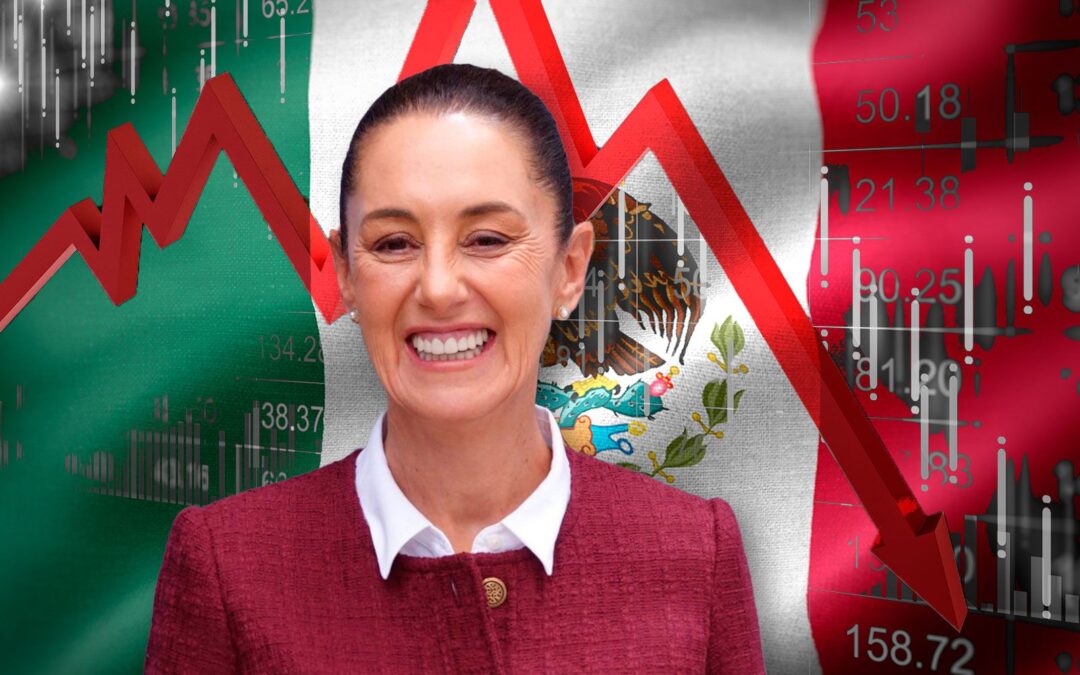 Presidenta, usted elige