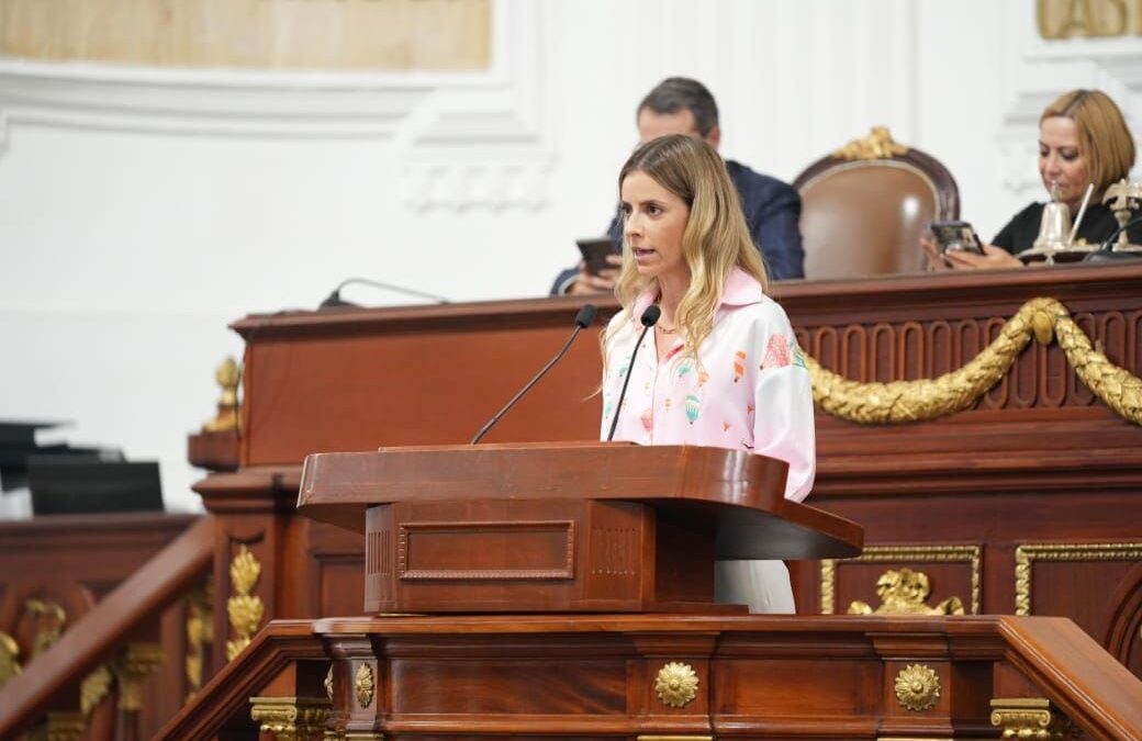 Organización ciudadana y solidaridad fueron símbolo de los sismos del 19 de septiembre: PVEM