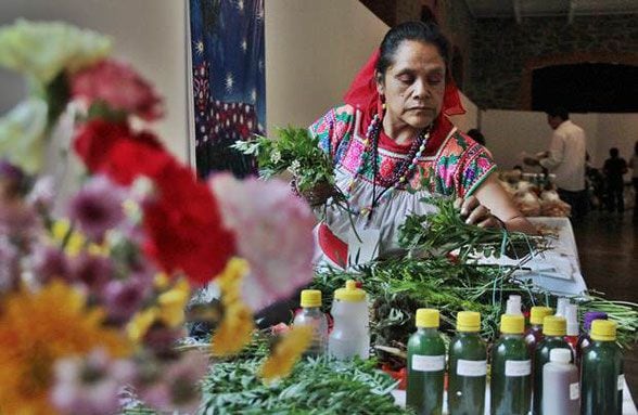 Catálogo de pueblos indígenas acerca la ley de patrimonio cultural