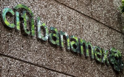 OPI de Banamex: Jane Fraser, CEO de Citi, dice que es la ‘mejor opción’ para accionistas