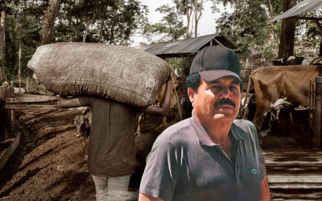 Detienen al ‘Mayo’ Zambada: ¿Cómo un campesino se volvió líder del Cártel de Sinaloa? Esta es la historia