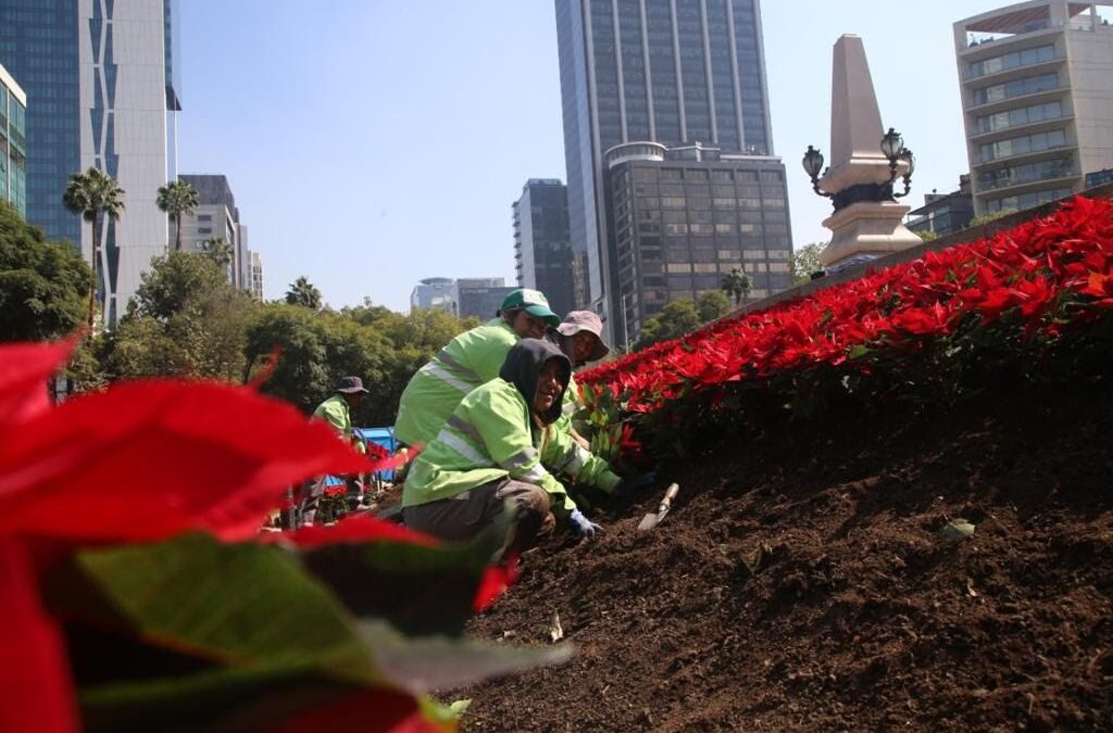 La Navidad llega a CDMX con la colocación de nochebuenas en estas vialidades