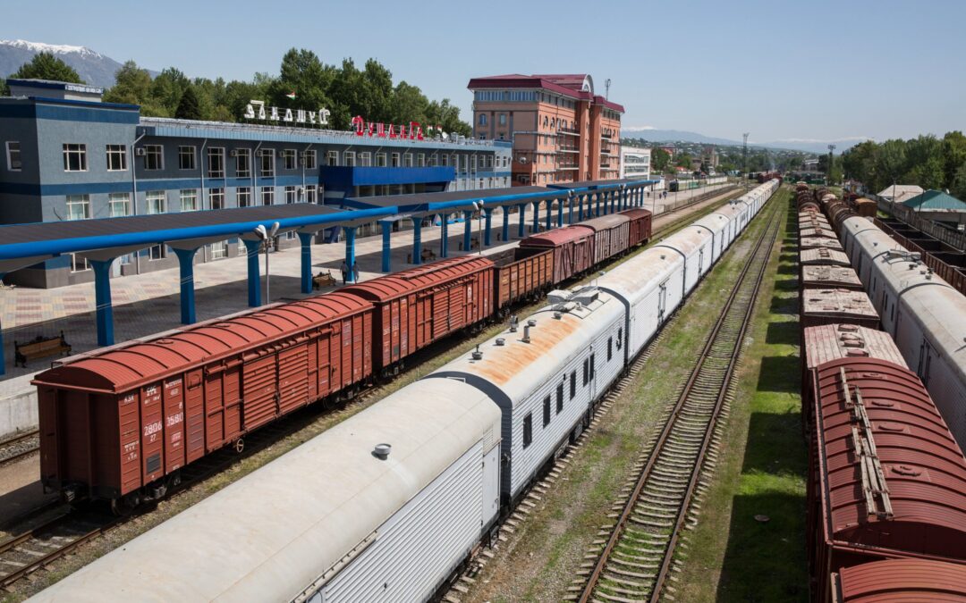 Bloqueo en la ruta ferroviaria Veracruz-CDMX: ¿Qué sectores se han visto afectados?