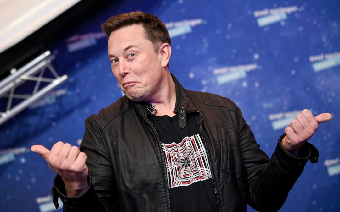Elon Musk también planea abrir restaurantes: ‘Con cena futurista y autocine’