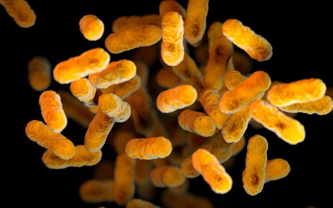 ‘Es una enfermedad horrible’: Aumentan casos de tos convulsiva en niños y adolescentes de EU