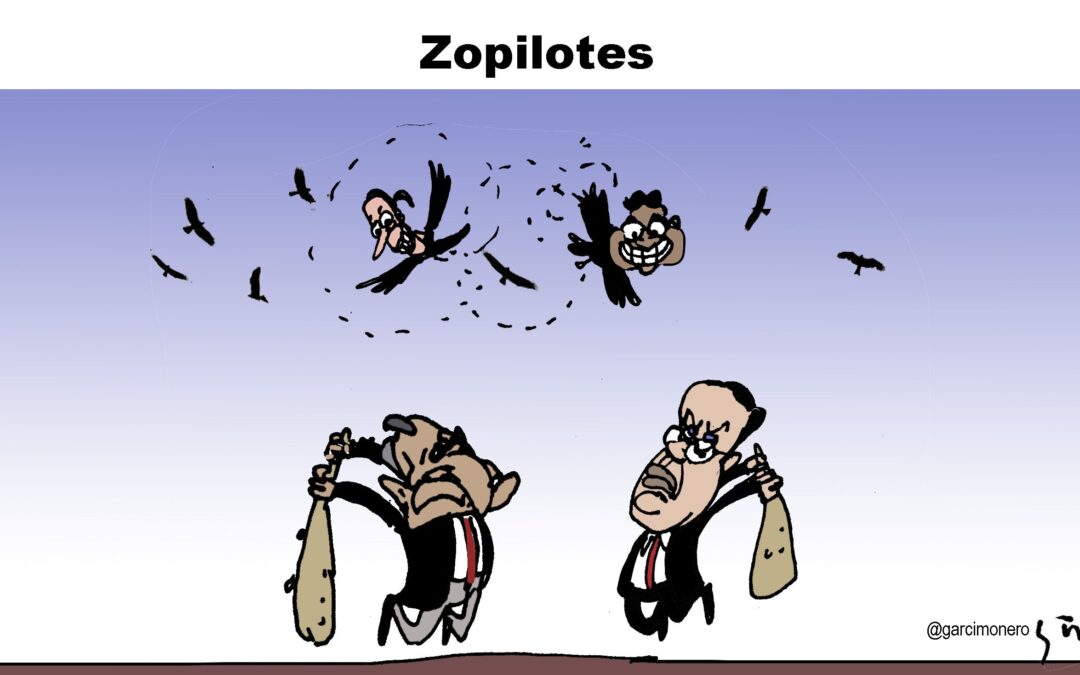 Zopilotes