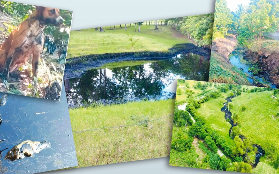 Problemas en Veracruz para Sheinbaum