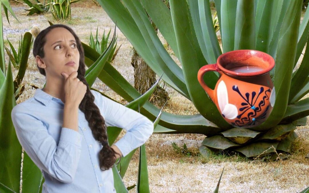 ¿Qué beneficios tiene tomar pulque?