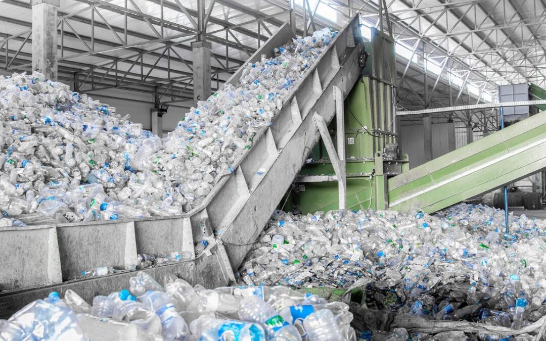 Van por la planta de reciclado de plásticos agrícolas más grande del país