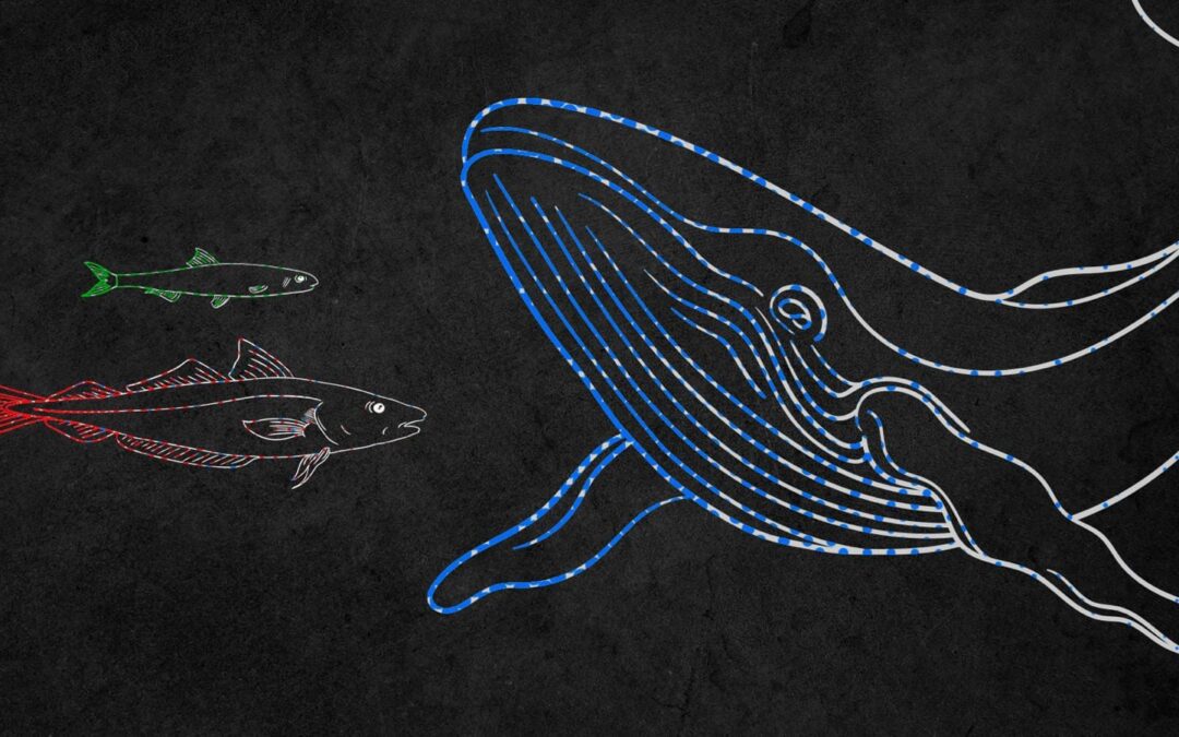 El charal y la ballena