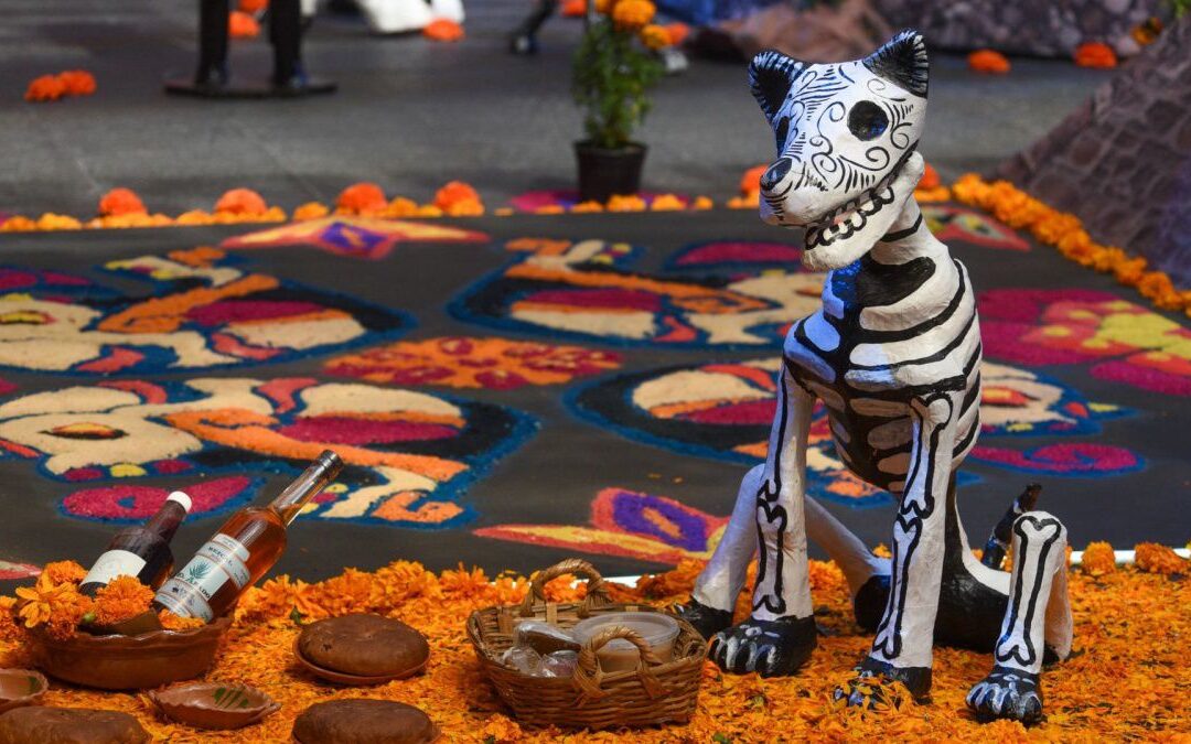 R.I.P. a las clases: Estos estudiantes tendrán puente el 1 de noviembre