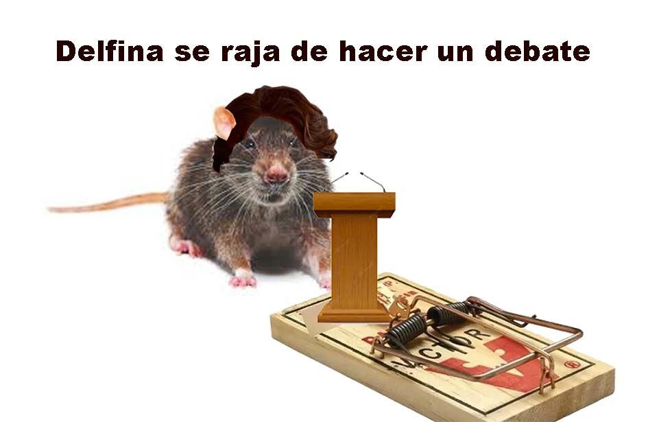 Instinto de supervivencia
