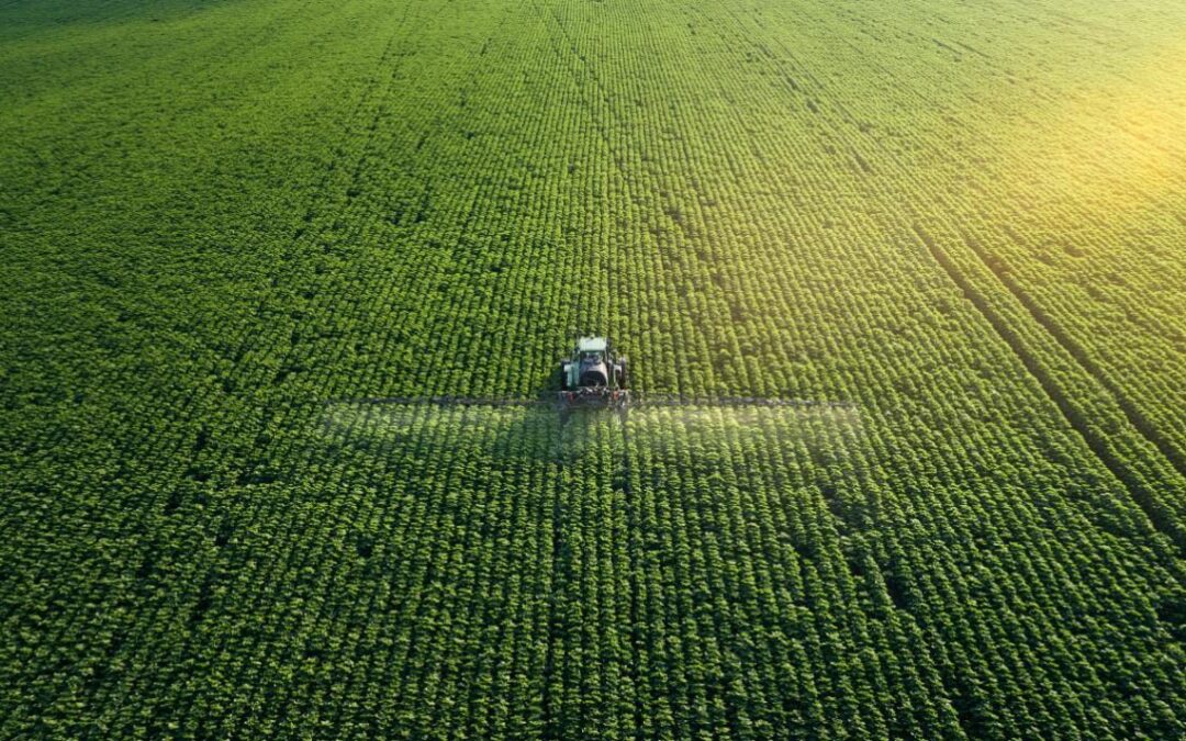 El pulso de la Tierra: latidos que deben ser escuchados