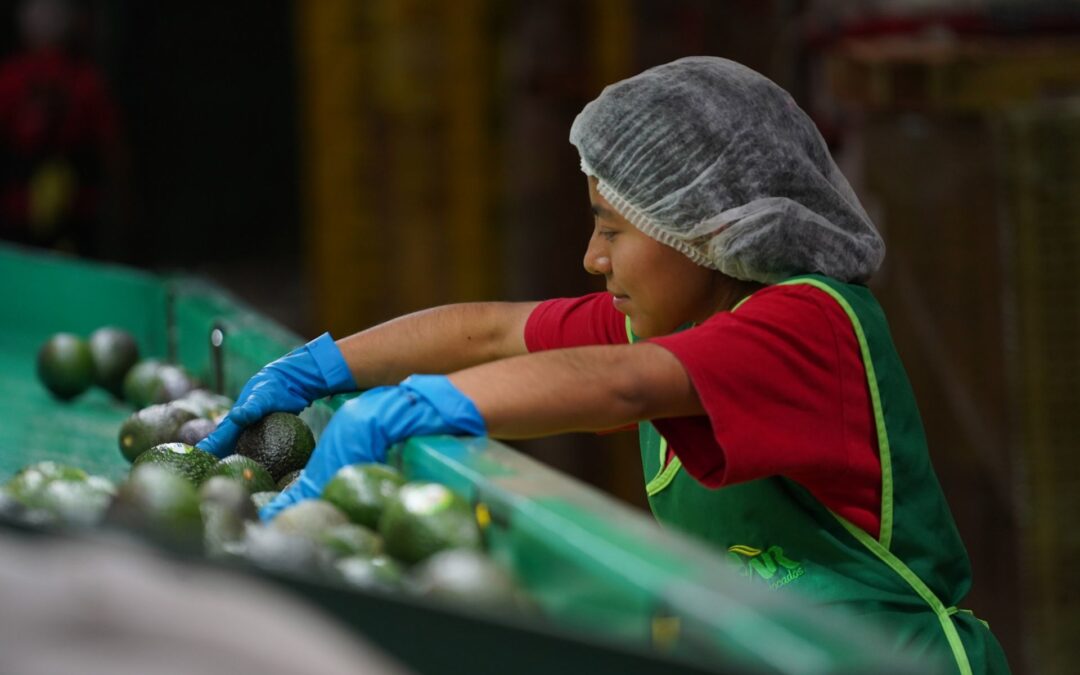 Semana Santa impacta al empleo: en abril se crearon 24 mil 11 plazas, según el IMSS