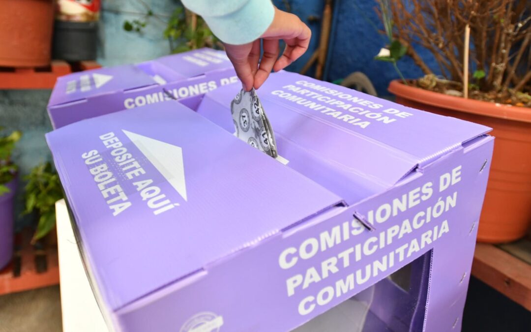 Mayorías y consultas