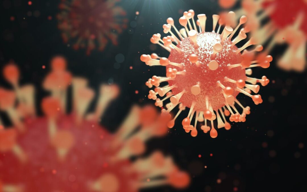 Influenza aviar AH5N1: ¿Se contagia a seres humanos?