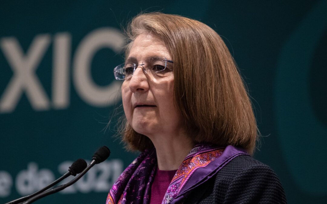 Piden renuncia a Luz María de la Mora y México se queda sin negociadora de consultas del T-MEC