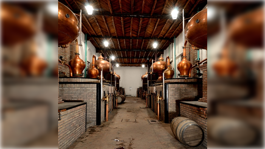 La prohibición del vino en la Nueva España