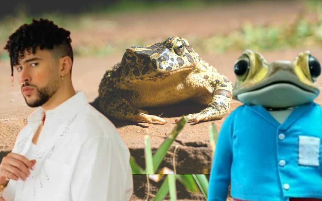 ¿Qué es el sapo concho, especie en peligro de extinción que aparece en el nuevo álbum de Bad Bunny?