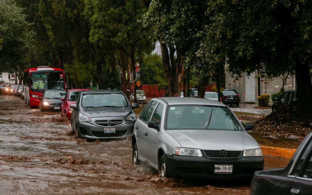 Ni la lluvia te frena: Hoy No Circula para este martes 2 de julio en la CDMX y Edomex