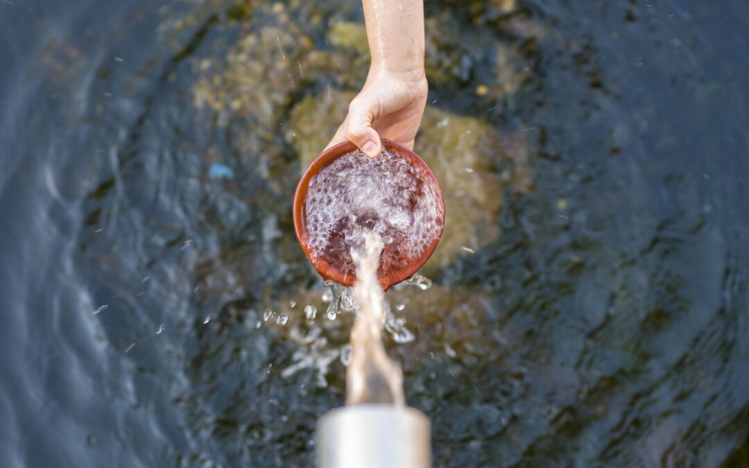 La vital importancia del agua