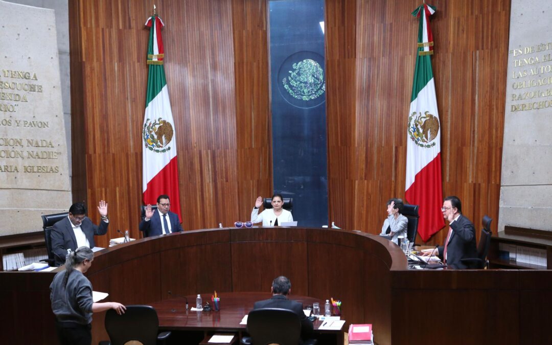 TEPJF deja pasar errores en perjuicio de aspirantes al PJF; ‘es irreparable’
