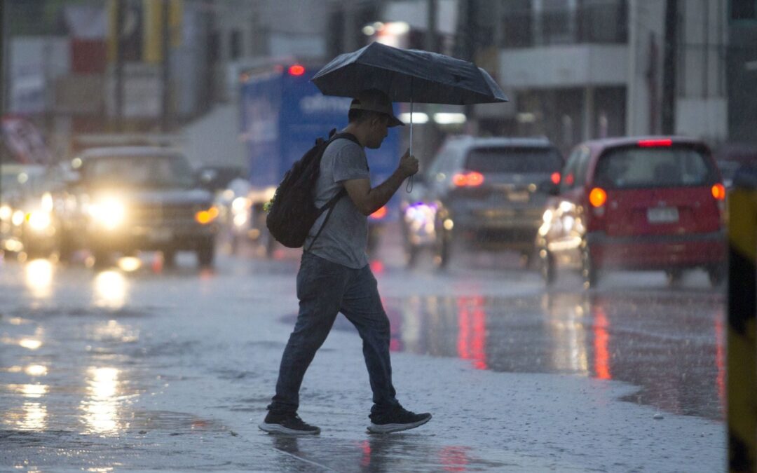 Tormenta tropical ‘Alberto’ en Nuevo León: ¿Cuándo se esperan las lluvias más fuertes?