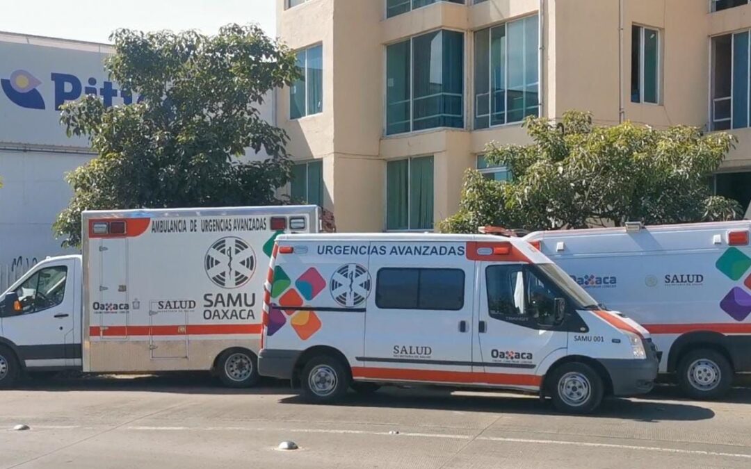 Niño que falleció por mordida de murciélago en Oaxaca da negativo a rabia humana