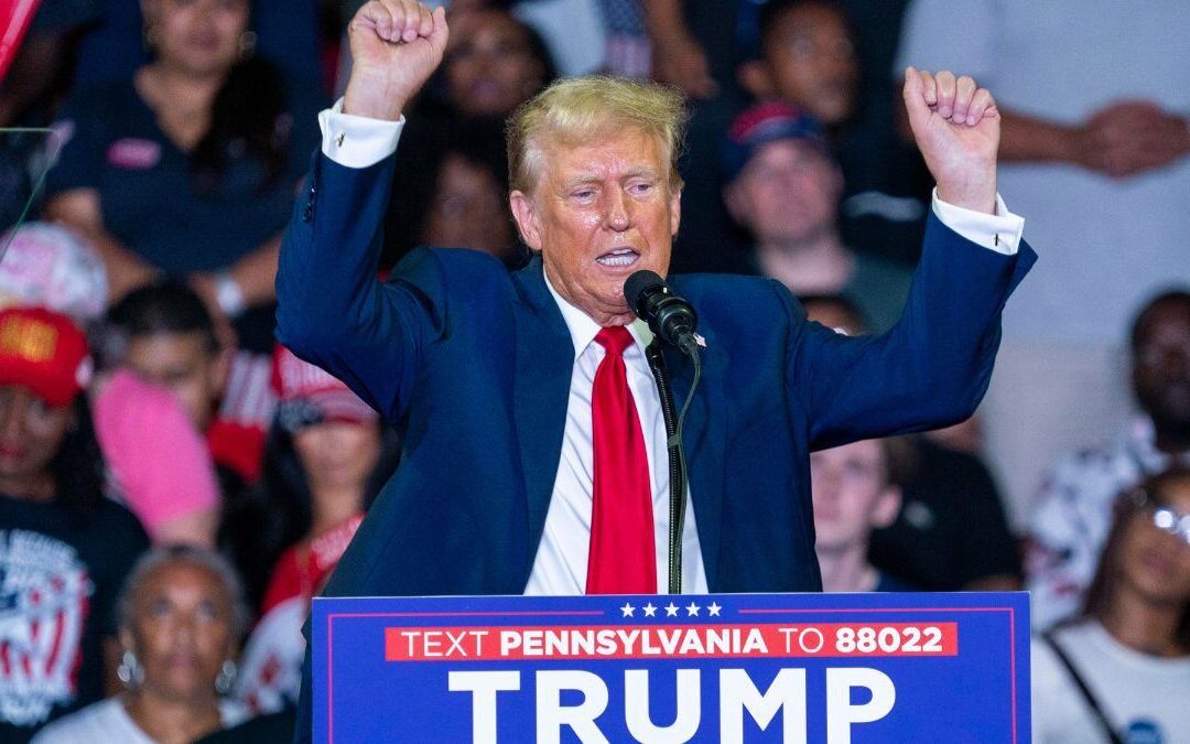 ¿Por qué Donald Trump es el candidato favorito para los comerciantes?