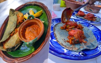 ¡Afila el diente! Lánzate al Festival de la Larga y la Quesadilla para probar antojitos mexicanos