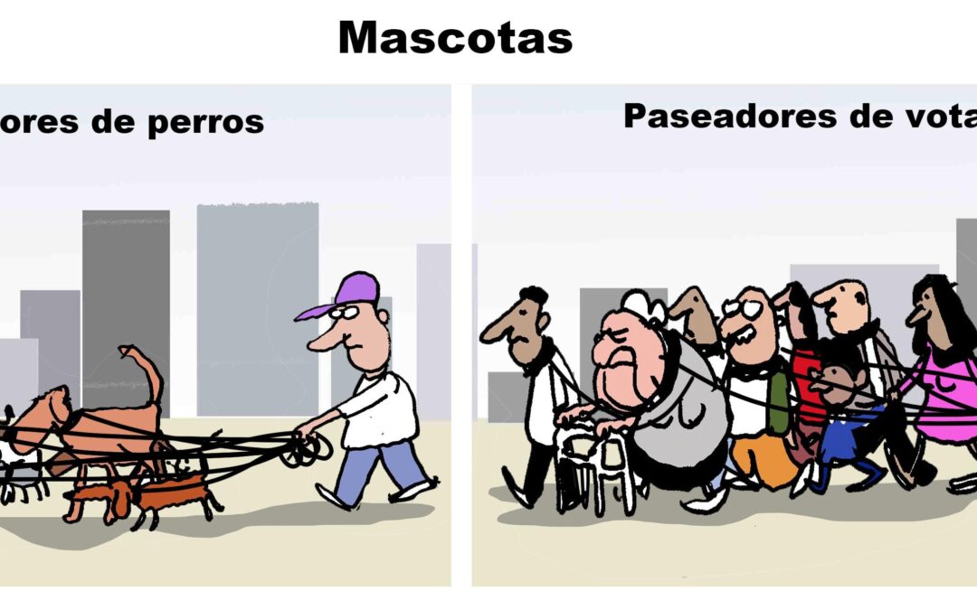 Mascotas