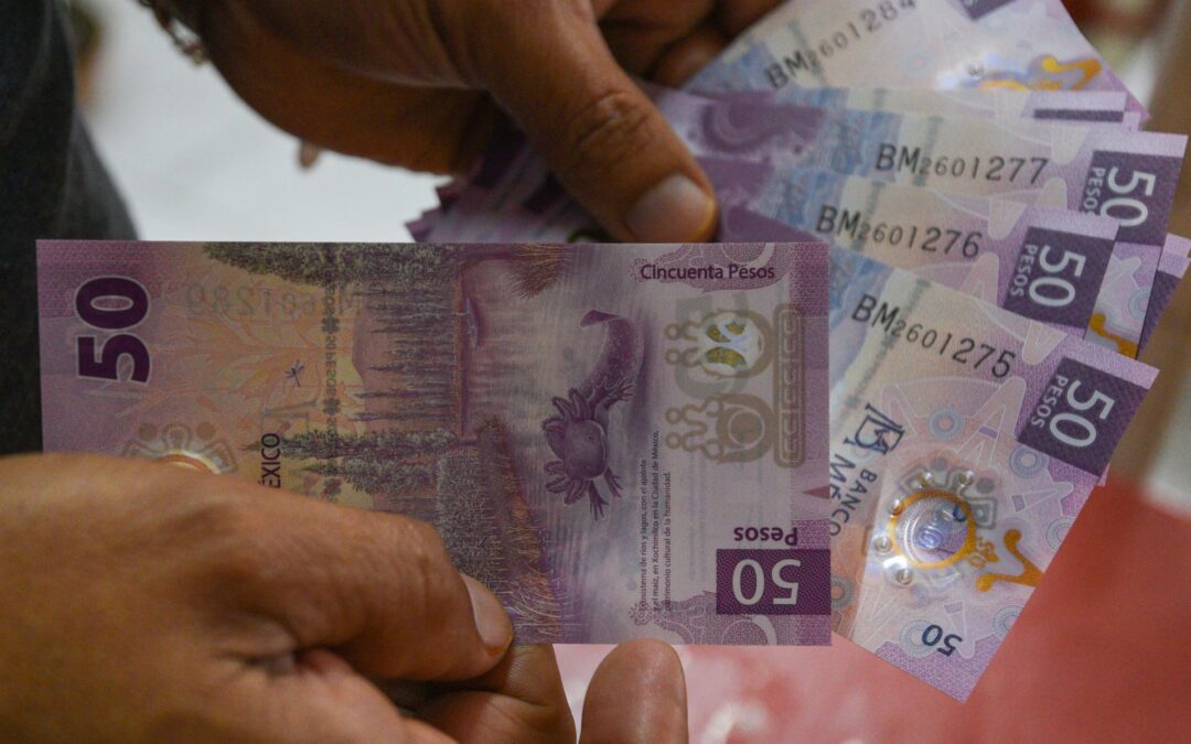 Aumento al salario mínimo es buena política; la reforma, no