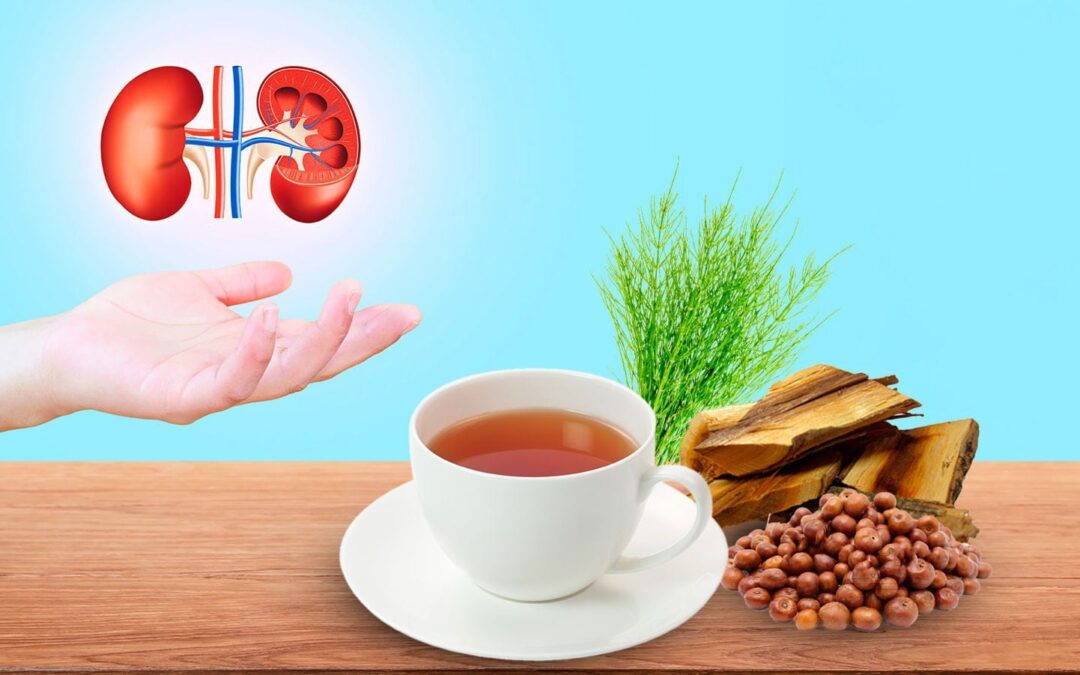 ¿Cuáles son los beneficios de ‘Riñosan’, el té que dicen que le hace un ‘paro’ a los riñones?