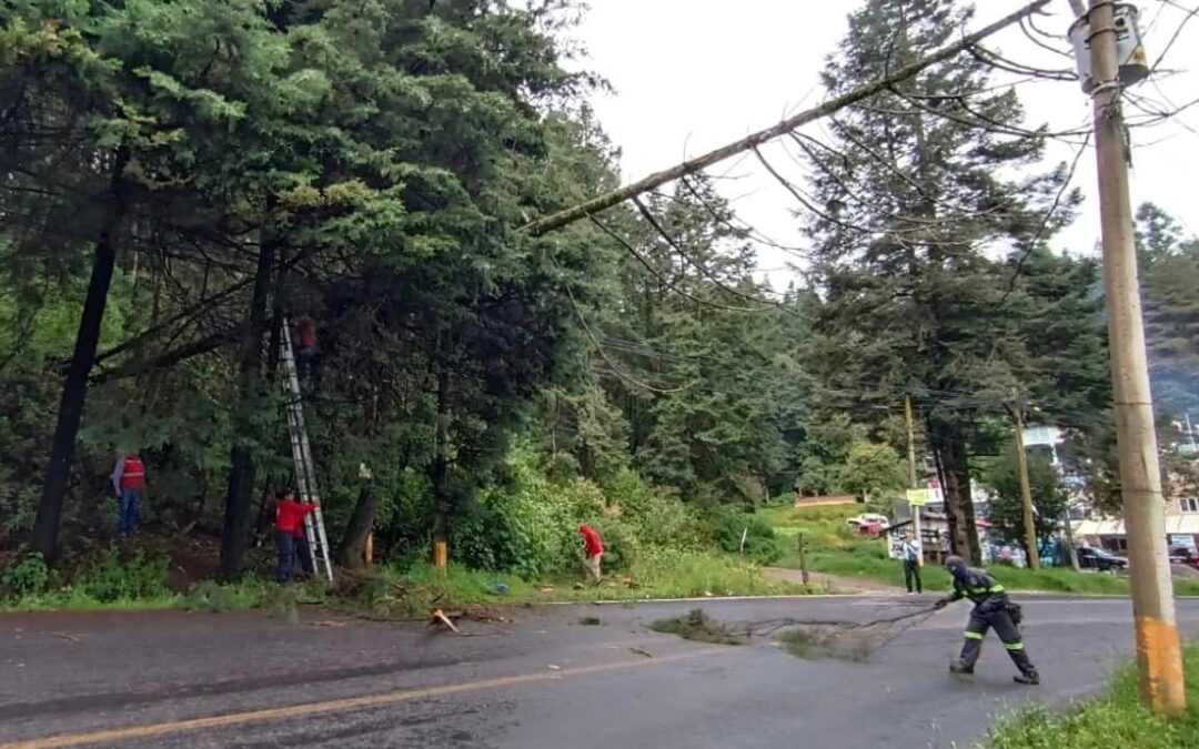 Se desgaja cerro y se desborda río en Jilotzingo, Edomex; reportan casas dañadas