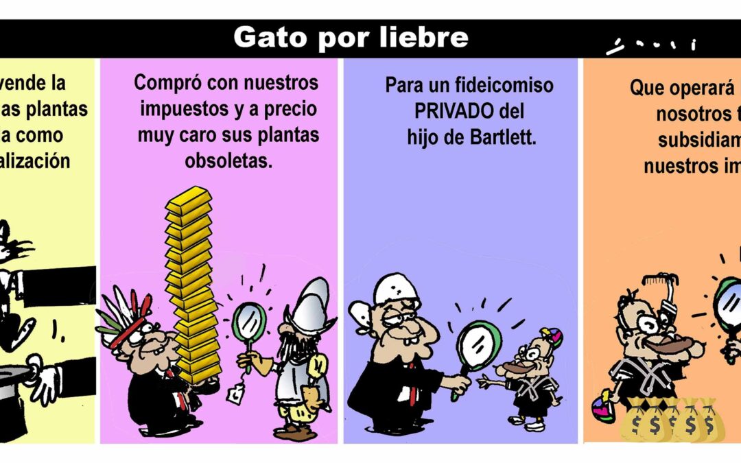 Gato por liebre