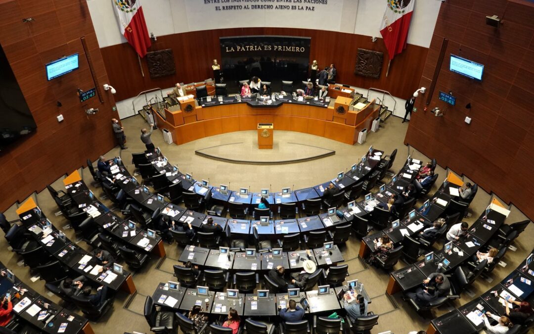 El Senado, dique para frenar el autoritarismo