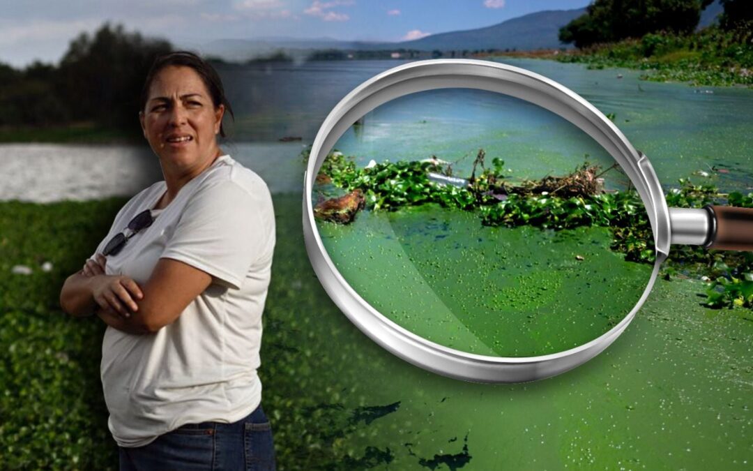 Así es el ‘infierno ambiental’ que CDMX ocasiona en Hidalgo: ‘Es pura muerte lo que tocamos’ (Fotos)