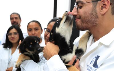 ¡Adopta, no compres! Inauguran en Tepito primer hotel para perros y gatos abandonados