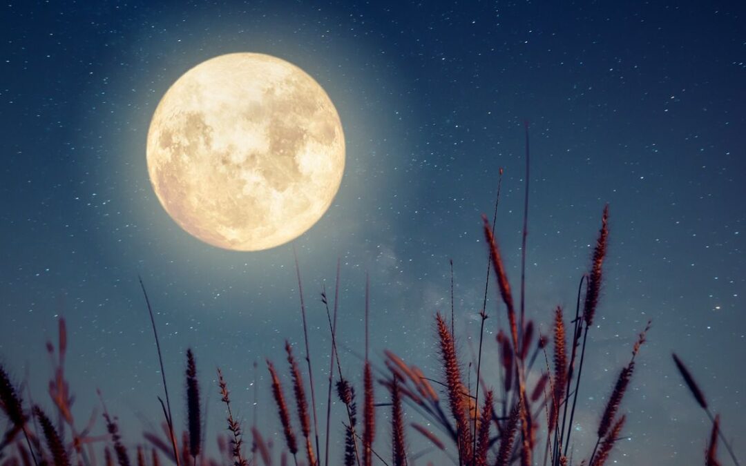 ‘De las lunas, la de octubre es la más hermosa’ ¿Pedro Infante tenía razón?