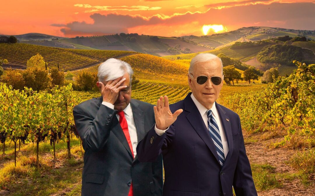 Mientras AMLO está en su quinta ‘La Chingada’: ¿Qué hace Joe Biden tras su retiro? Esto sabemos