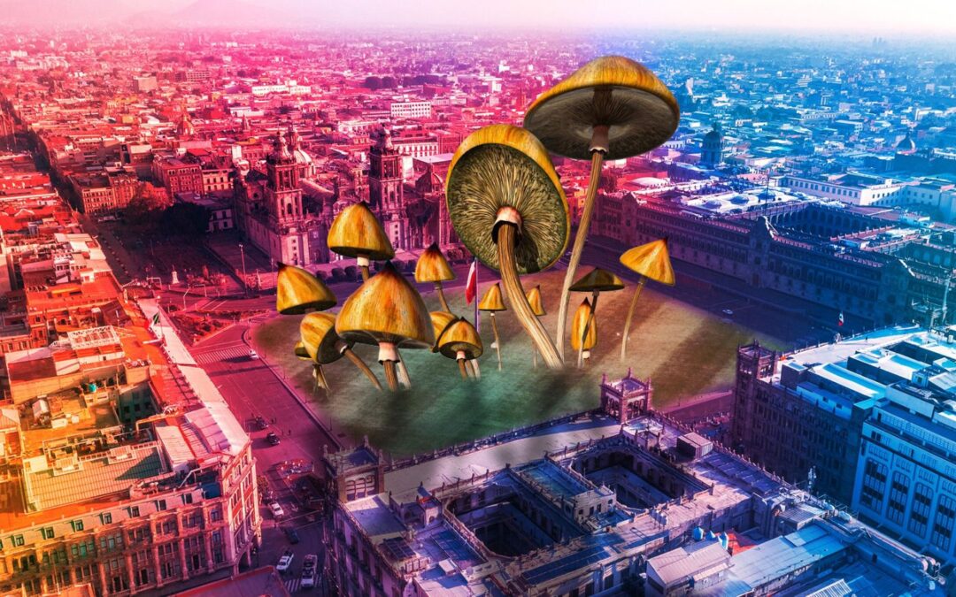 ¡Qué viajesoooote! México entra al top 5 de turismo psicodélico