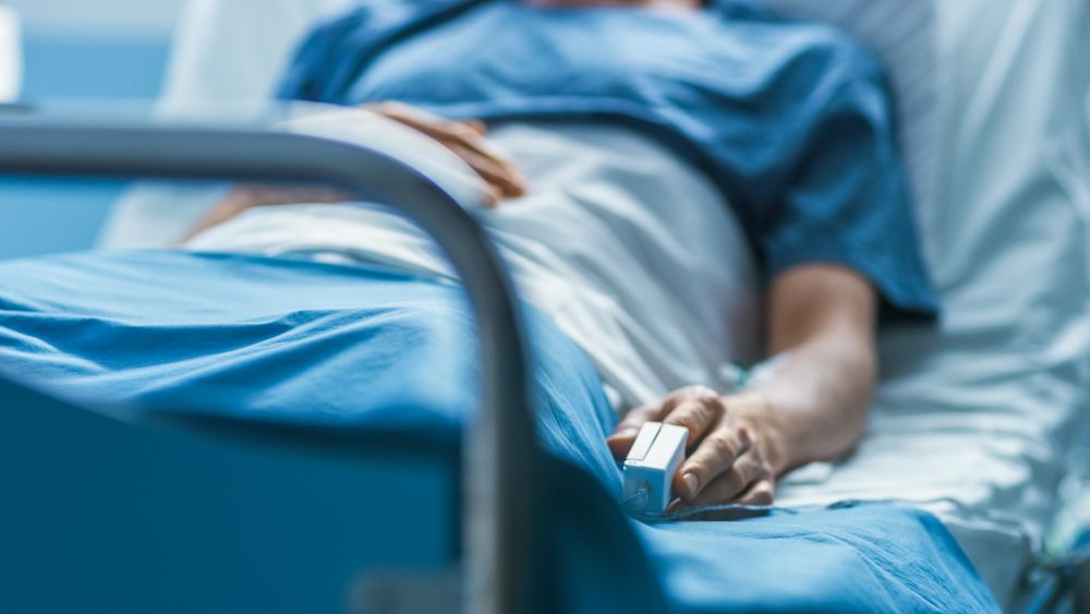 Confirman primer caso de rabia humana; mujer fue mordida por un gato en Nayarit