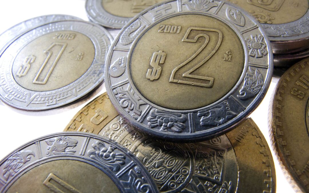 ¿Qué explica la estabilidad del peso?