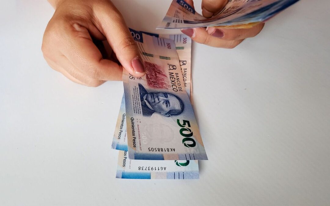 ¿Cuáles son las 4 categorías de salario y cuál es el tuyo?