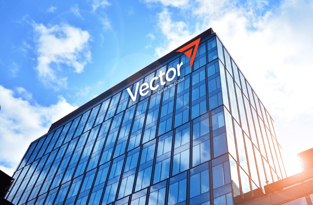 Prevé Vector crecimiento de sector este año
