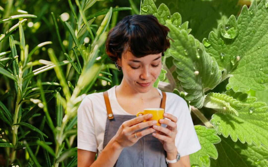 ¿Cuáles son los beneficios del té de romero con hierbabuena?