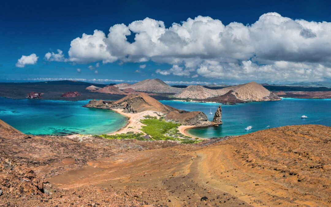 Galápagos está en riesgo: Una fruta y una mosca amenazan su ecosistema y no hay solución rápida