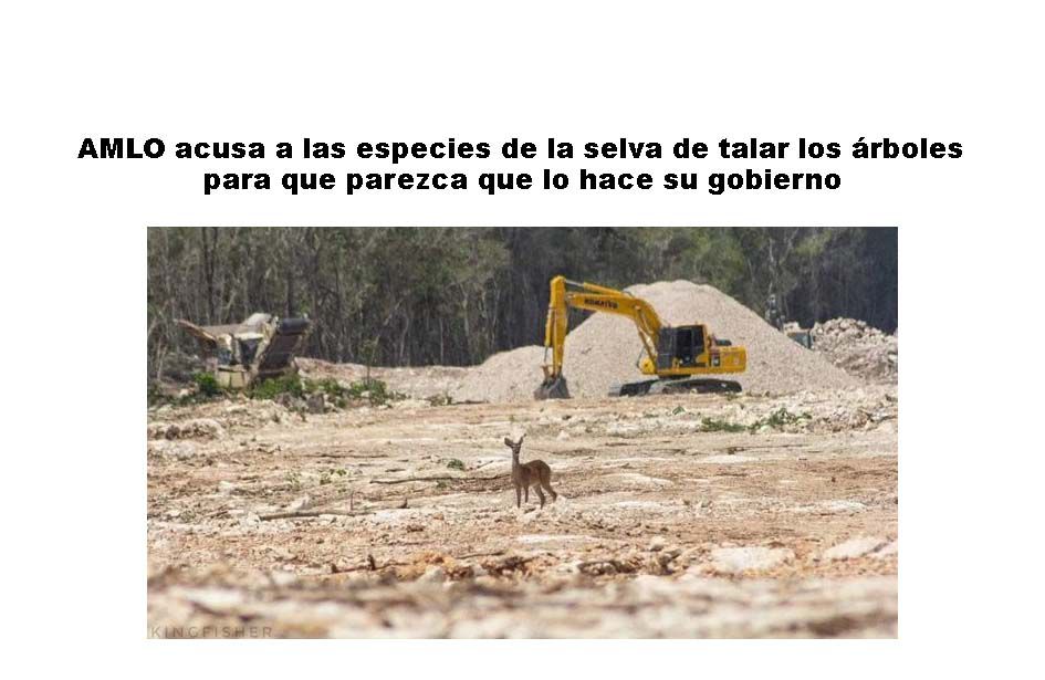 Animales conservadores